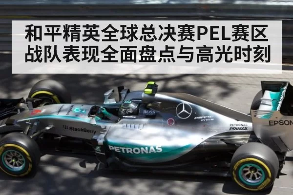 和平精英全球总决赛PEL赛区战队表现全面盘点与高光时刻