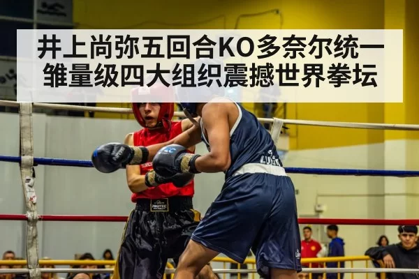 井上尚弥五回合KO多奈尔统一雏量级四大组织震撼世界拳坛